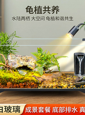 乌龟饲养缸生态造景家用玻璃缸小型别墅水陆两用养乌龟专用缸鱼缸