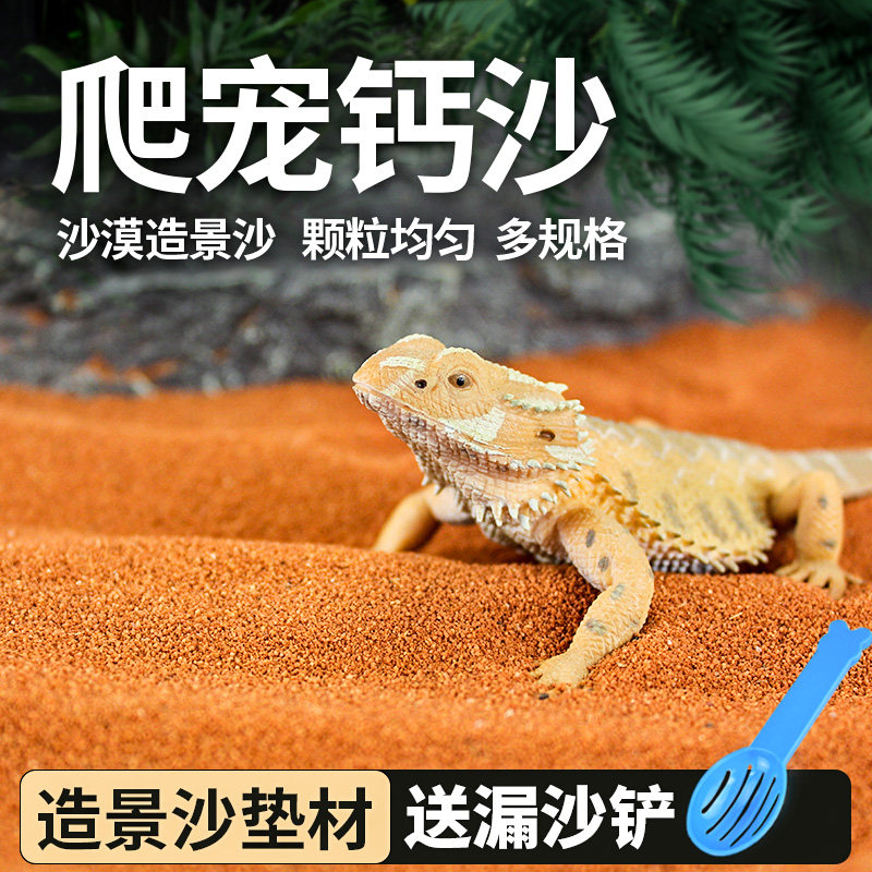爬宠钙沙垫材还原沙漠造景装饰图片
