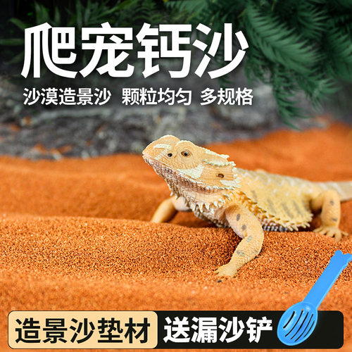 爬宠钙沙垫材还原沙漠造景装饰