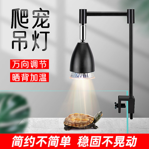 乌龟晒背灯太阳灯方向可调补光