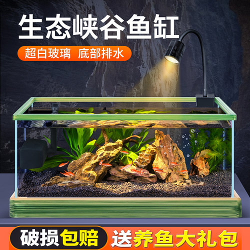 超白鱼缸溪流缸客厅小型新款生态水草缸玻璃缸家用桌面缸造景观赏