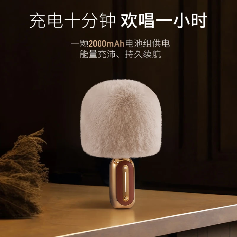 音响话筒一体无线蓝牙麦克风