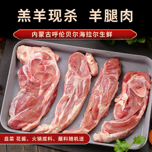 羊前腿切片呼伦贝尔草原溜达羊海拉尔现杀羔羊新鲜羊肉腿肉礼盒装