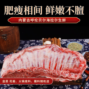 羊排肋排呼伦贝尔海拉尔草原溜达羊羔羊现杀新鲜羊排烤炖2500g