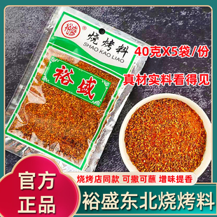 裕盛烧烤料40克*5袋东北烤串烤面筋羊肉串撒料孜然牛肉蘸料包邮
