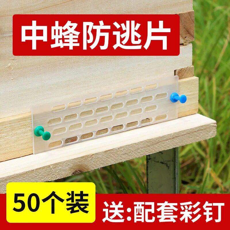 中蜂防逃片防跑片蜂具养蜂专用工具中蜂巢门防蜂王隔王片防逃片