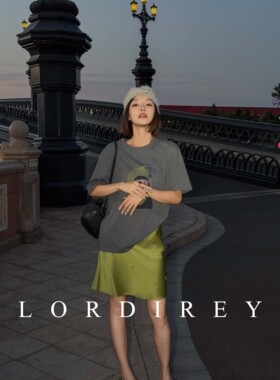 LORDIREY/【趣印】灰色女T恤出片漂亮衣服高级感大方得体女上衣
