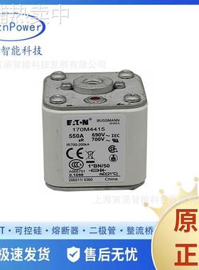 170M4408 170M4409 170M4410 170M4413 170M4419快速熔断器现货