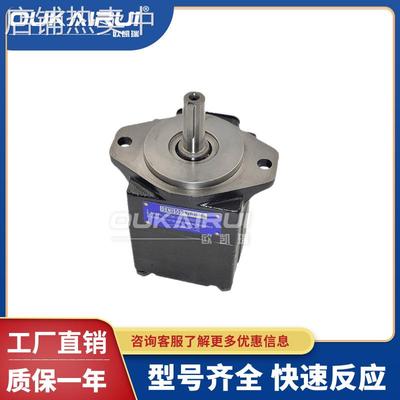 丹尼逊Denison叶片泵T6系列T6C-010-1R00双联泵液压油泵高压定量