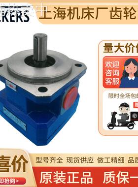 上海机床厂磨床齿轮泵GPA1-1/2/4-E-20R6.3GPA2-6/10/16-E-20R6.3