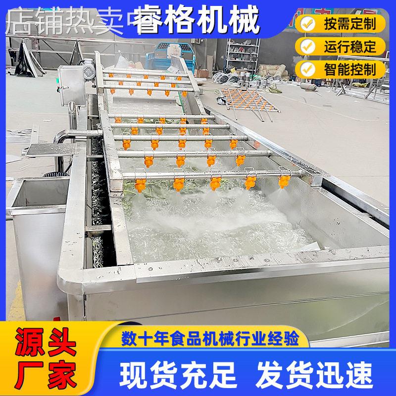 气泡翻浪蒲公英根清洗机 全自动蔬菜气泡清洗机 海参鲍鱼清洗设备