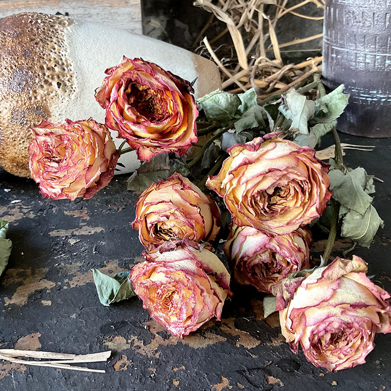 风干玫瑰干花花束真花装饰家居