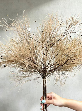 金鹅绒金梦幻草永生花干枝婚礼