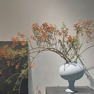 山归来鲜花切枝条蔷薇果水培植物高级真花材家用插花云南直发创意