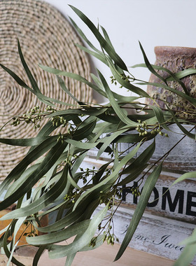 云南天然小米果尤加利果北欧摆件家居民宿酒店装饰永生花拍照道具