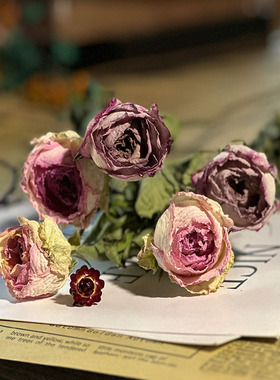 干枯玫瑰干花花束真花复古文艺DIY创意相框材料摄影道具蛋糕装饰