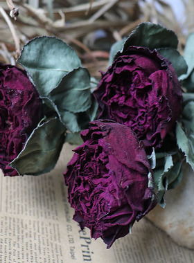 天然真花玫瑰干花花束家居装饰摆件满天星礼品拍照道具插花艺永生