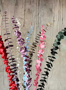 天然尤加利叶永生干花花束真花桉树叶野餐布拍照拍摄道具软装花材