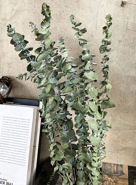 尤加利叶干花花束新鲜果实小米果基地永生装饰拍摄道具北欧家装饰