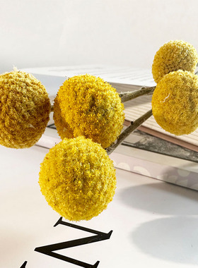 黄金球尤加叶利风车果真花干花花束乒乓菊DIY材料摄影道具插花