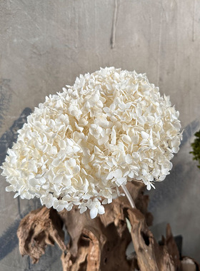 云南天然绣球干花束永生花复古文艺真花高端插花家居装饰diy材料