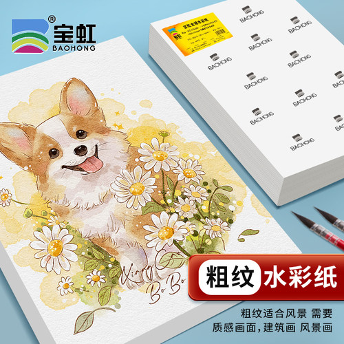 粗纹水彩纸宝虹全棉水彩纸300g4k8k16k棉浆水彩画纸美术生水溶彩铅油画棒纸全开半开细中粗纹2k水彩纸200g