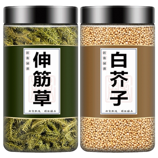 伸筋草白芥子组合茶中药材正品泡水煮水加伸筋草和白芥子养生特级