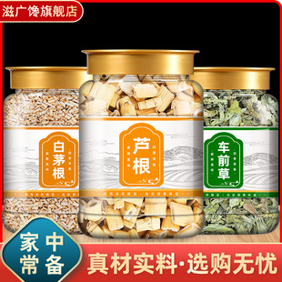 芦根白茅根车前草组合茶包中药材正品车钱草白毛根矛新鲜泡水和加