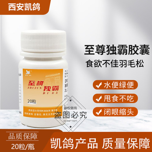 凯鸽至尊毒霸甩拉吐常见病水便绿便专用肠道凯哥信鸽子药鸽药大全