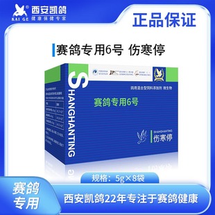 鸽药凯鸽6号六号伤寒停副伤寒大肠杆菌沙门氏菌鸽子药大全常见病