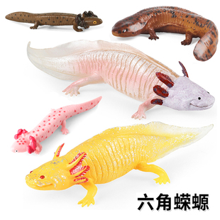 儿童认知实心仿真两栖动物蝾螈娃娃鱼山椒鱼大鲵四脚鱼六角龙模型