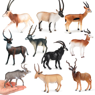 儿童认知仿真动物模型玩具高山动物非洲剑羚羊藏羚羊山羊羚羊模型