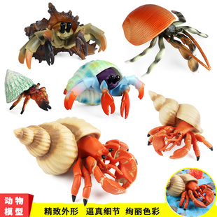 仿真寄居蟹玩具海洋模型动物海底生物海螺螃蟹男女孩认知儿童礼物