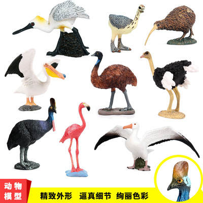 仿真动物模型鹤鸵几维鸟食火鸟鸵鸟白鹭鹈鹕蛇鹫儿童玩具场景摆件