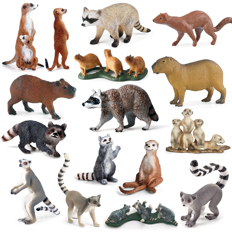 仿真迷你动物模型儿童科教认知浣熊环尾狐猴卡皮巴拉獴摆件玩具
