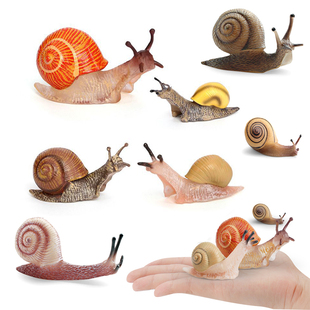 仿真野生爬行动物小蜗牛模型微景观造景装饰品非洲大蜗牛沙盘摆件