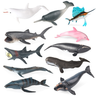 仿真海洋生物实心模型玩具蓝鲸抹香鲸海豚座头鲸中华鲟鲨鱼露脊鲸