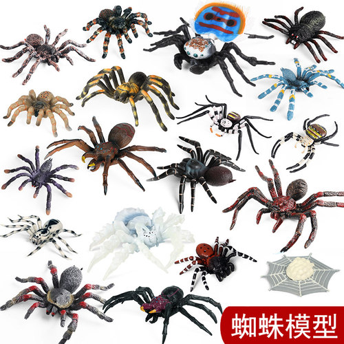 仿真蜘蛛昆虫玩具动物模型实心黑蜘蛛狼蛛捕鸟蛛孔雀蜘蛛沙盘摆件