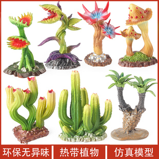 仿真热带植物模型仙人掌孢针花捕蝇花巨人柱食人花铁甲树食虫草
