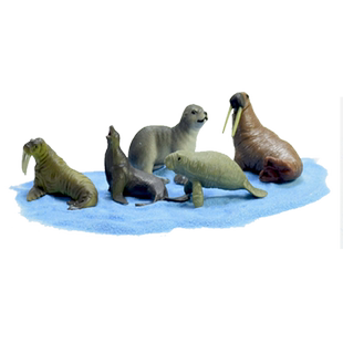 儿童海洋动物玩具模型仿真海狮海狗豹海象牛蛋糕装饰鱼缸场景摆件