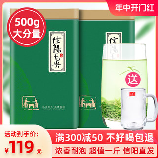 静香毛尖绿茶信阳毛尖2024新茶雨前高山嫩芽500g浓香耐泡型春茶叶