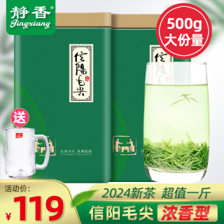 静香毛尖绿茶信阳毛尖2024新茶雨前高山嫩芽500g浓香耐泡型春茶叶