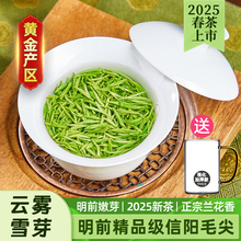 静香绿茶信阳毛尖官方2025新茶正品茶叶嫩芽兰花香型礼盒罐装毛尖