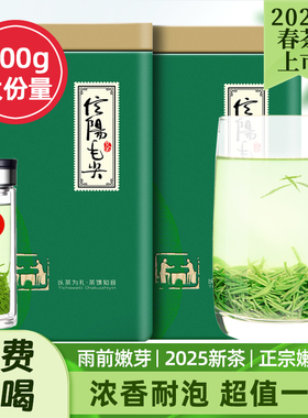 静香信阳毛尖茶叶2025新茶雨前嫩芽500g浓香河南官方正品绿茶毛尖