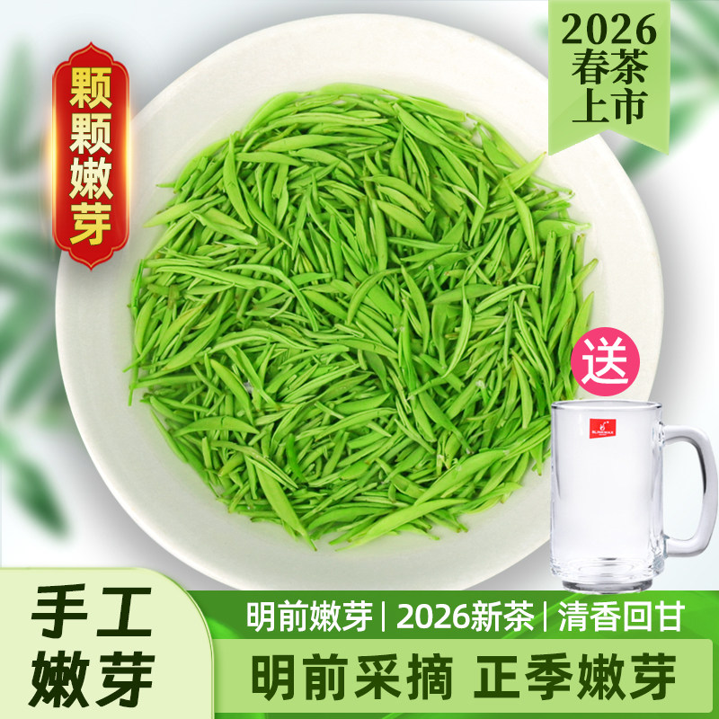 2026新茶静香茶叶信阳毛尖明前特级嫩芽手工清香河南高山绿茶盒装