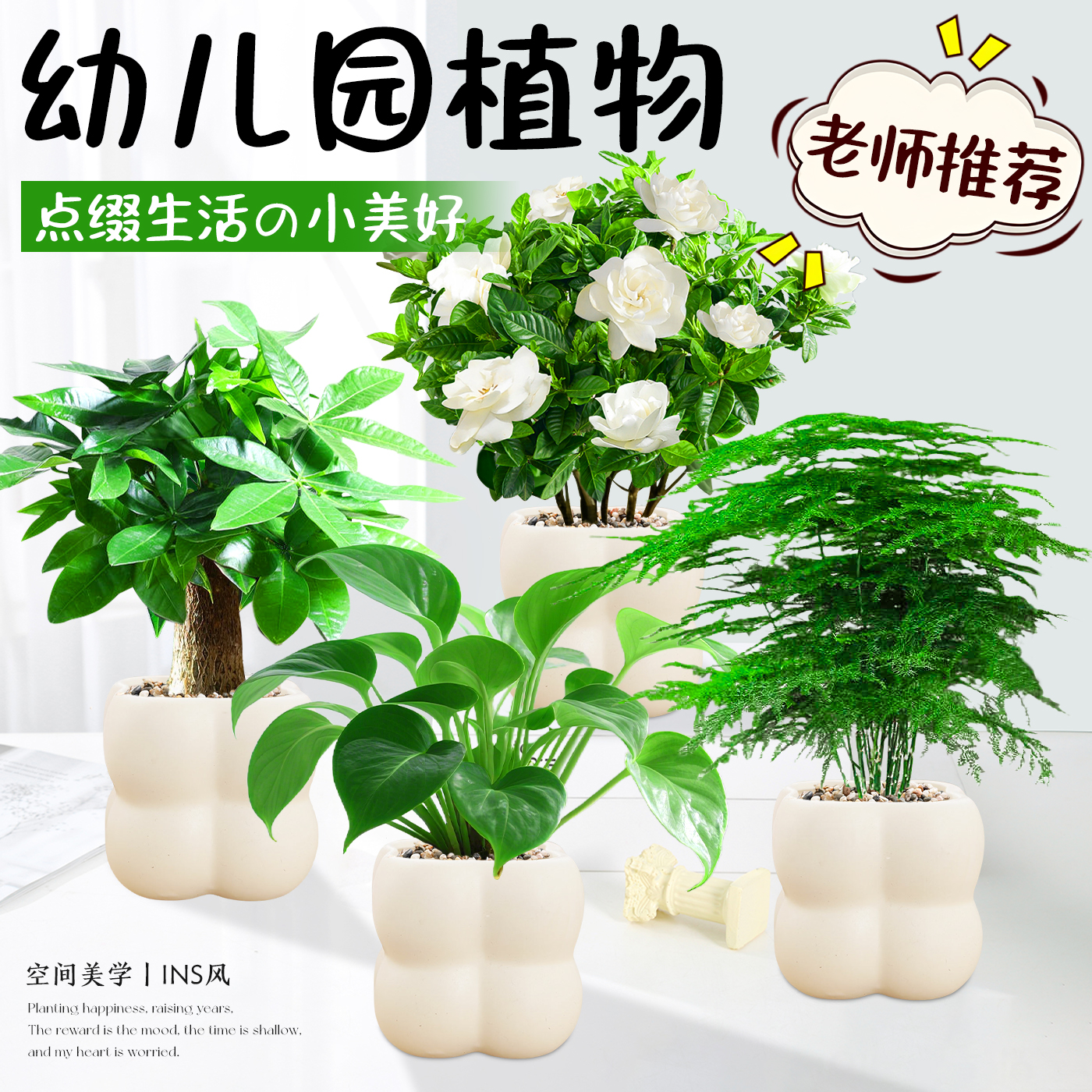 幼儿园超好养绿植小盆栽清新空气