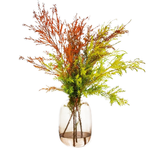 秋日千层金鲜花黄金香鲜切花水培绿植银柳干花花束年宵花云南直发