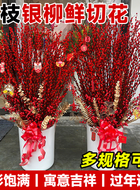 银柳鲜枝真花客厅摆件招财室内鲜花卉新年宵黄色粉色金柳银柳20枝