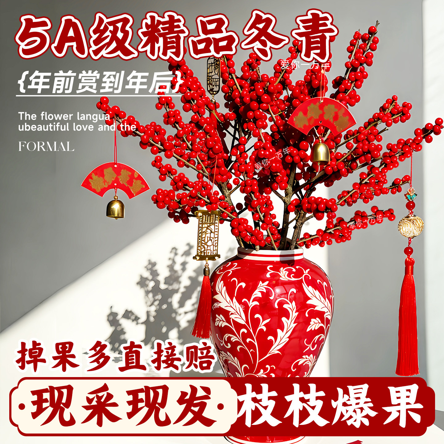 北美冬青红果真花水培鲜花办公室内桌面年宵花卉植物银柳鲜支水养,鲜花速递/花卉仿真/绿植园艺,花材,淘宝优惠券,粉丝福利购,淘宝优惠卷