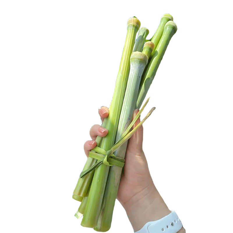 【儿时的美食】甜高粱种籽包发芽